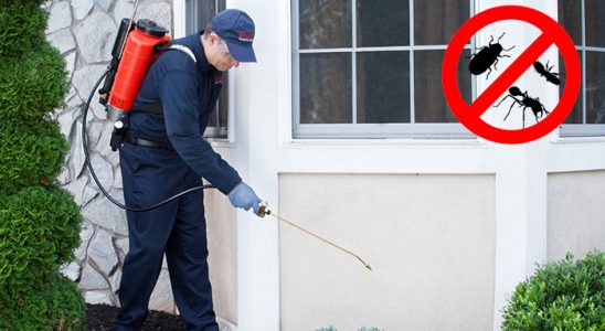 Kemaliye Bit İlaçlama böcek ilaçlama ve haşere kontrolü — ilaclama-tr.com